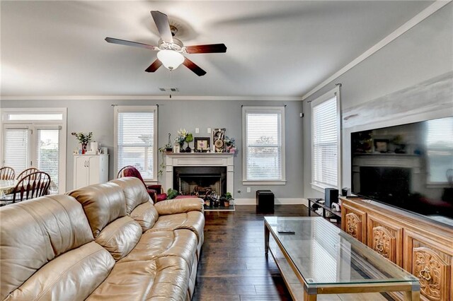 living room with ceiling fan, dark wood-type flooring, and ornamental molding