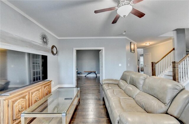 living room featuring ceiling fan, crown molding, and dark wood-type flooring