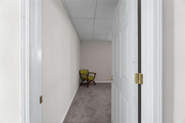 hallway featuring a paneled ceiling, baseboards, and carpet flooring