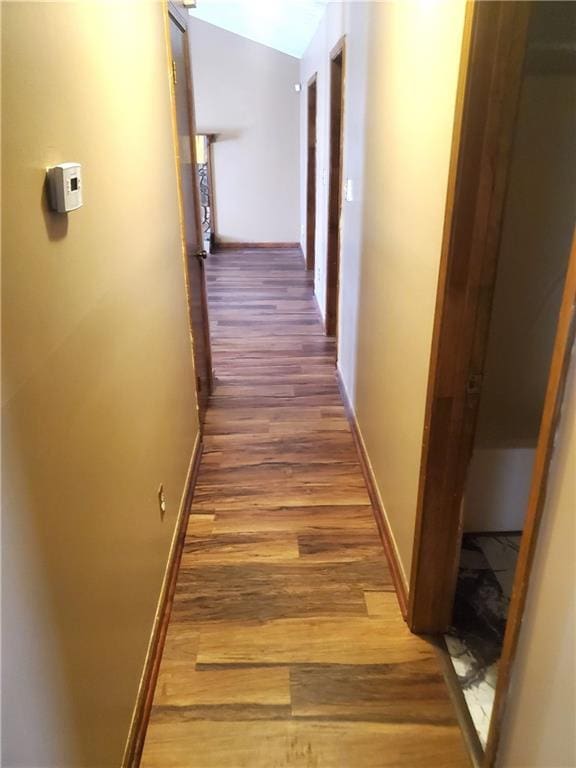 hallway featuring vaulted ceiling and hardwood / wood-style flooring