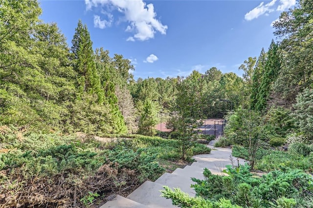 9620 Cedar Grove Rd, Chattahoochee Hills, GA 30213 - view of home's community featuring a forest view