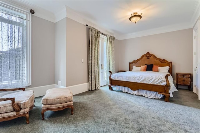 9620 Cedar Grove Rd, Chattahoochee Hills, GA 30213 - bedroom featuring ornamental molding, multiple windows, carpet flooring, and baseboards