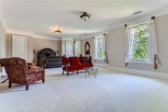 9620 Cedar Grove Rd, Chattahoochee Hills, GA 30213 - carpeted living area featuring crown molding and baseboards