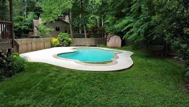 view of swimming pool with a storage shed and a yard