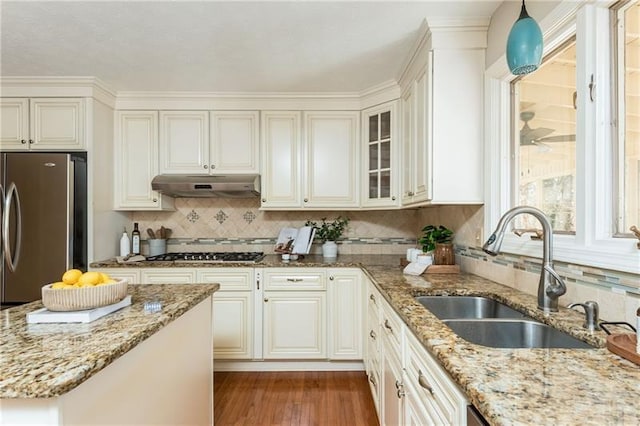 kitchen featuring under cabinet range hood, light stone counters, wood finished floors, stainless steel appliances, and a sink