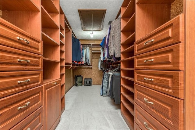 walk in closet featuring attic access and carpet flooring