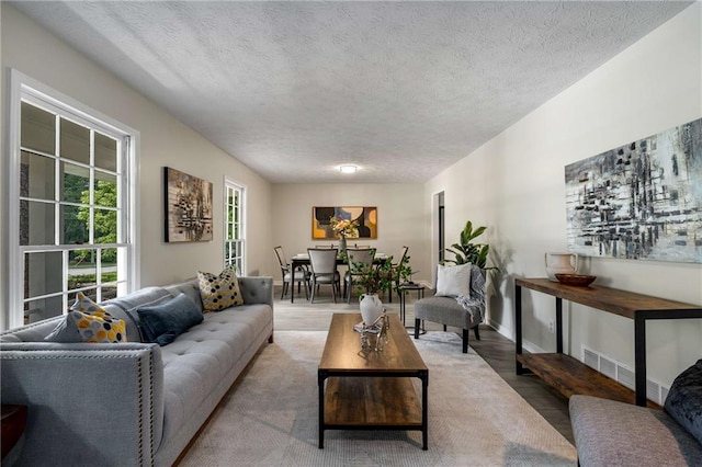 2694 Hickory Valley Dr, Snellville, GA 30078 - living area featuring light wood-style flooring and a textured ceiling