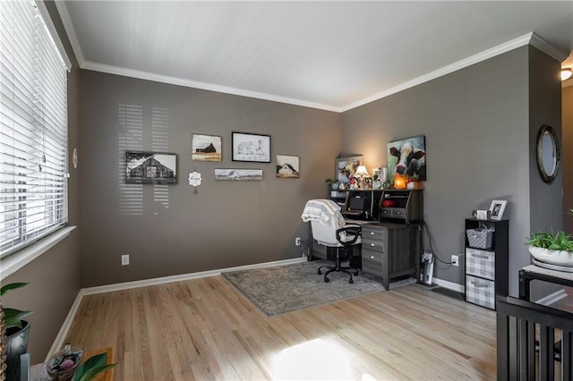 office area with crown molding and light hardwood / wood-style flooring