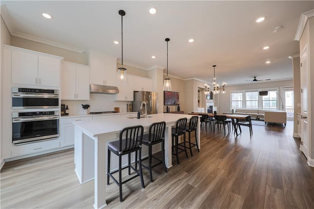 kitchen with under cabinet range hood, crown molding, stainless steel appliances, and a large island with sink