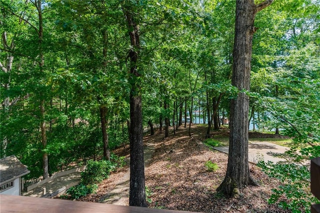 7875 Robin Rd, Cumming, GA 30041 - view of nature