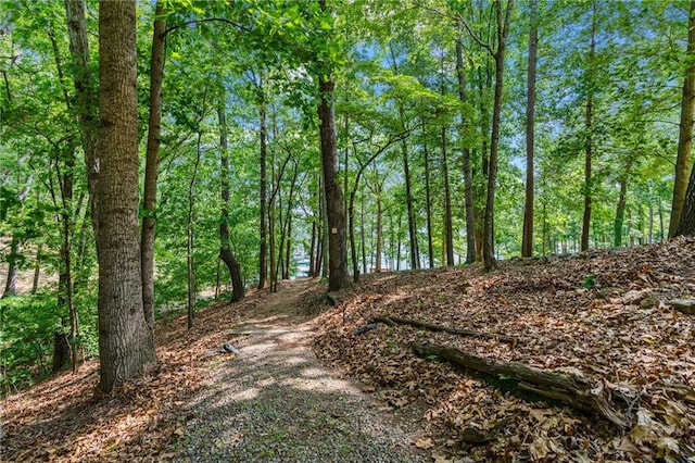 7875 Robin Rd, Cumming, GA 30041 - view of woods