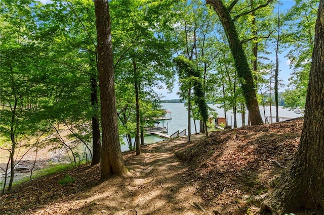 7875 Robin Rd, Cumming, GA 30041 - view of yard with a water view and a dock