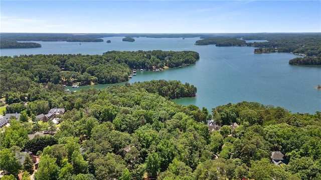 7875 Robin Rd, Cumming, GA 30041 - aerial view of a heavily wooded area and a nearby body of water