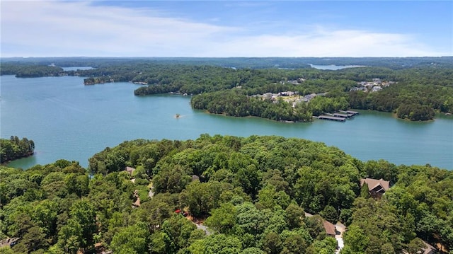 7875 Robin Rd, Cumming, GA 30041 - drone / aerial view of a heavily wooded area and a large body of water