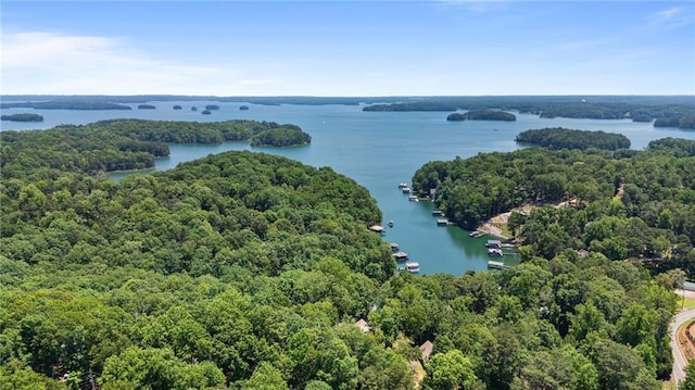 7875 Robin Rd, Cumming, GA 30041 - aerial view of a forest and a nearby body of water