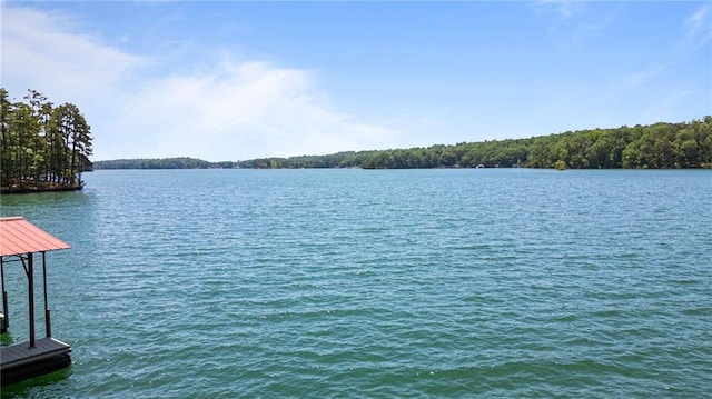 7875 Robin Rd, Cumming, GA 30041 - water view featuring a dock