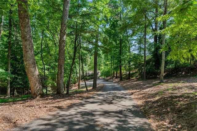 7875 Robin Rd, Cumming, GA 30041 - view of road featuring a wooded view