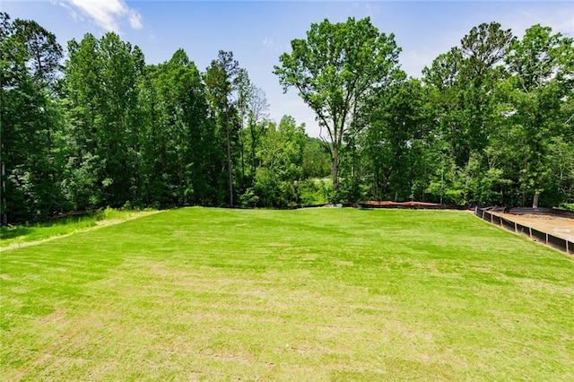 296 River Run Dr, Dallas, GA 30132 - view of grassy yard