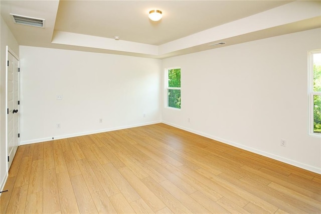 296 River Run Dr, Dallas, GA 30132 - empty room featuring light wood-type flooring, a tray ceiling, baseboards, and healthy amount of natural light