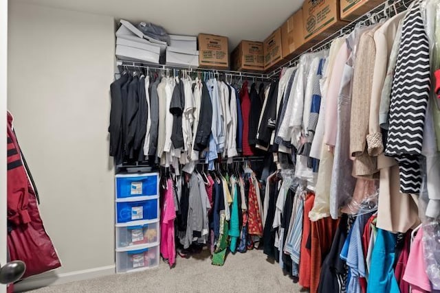 walk in closet with carpet