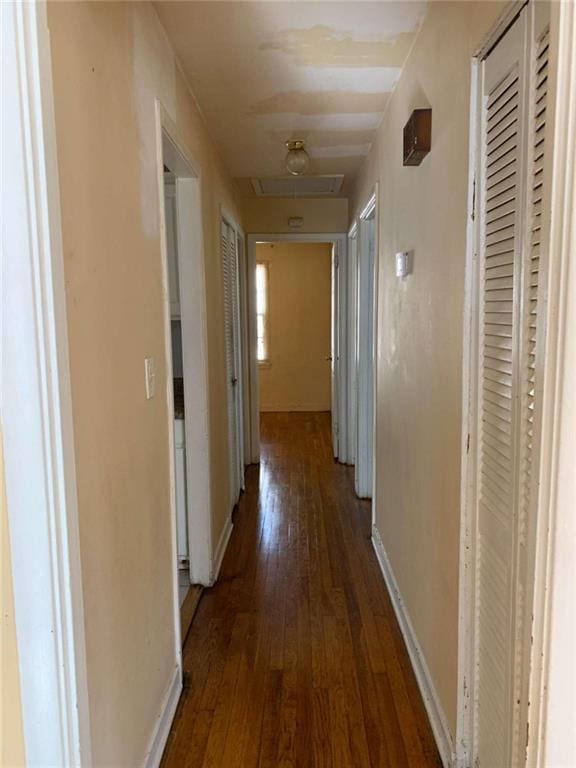 hallway featuring dark wood-type flooring