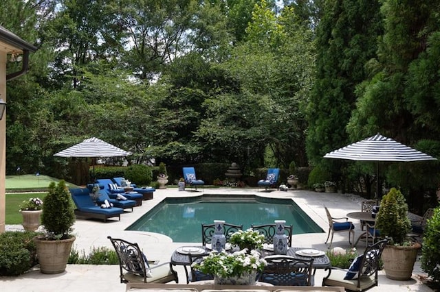 view of swimming pool with a patio