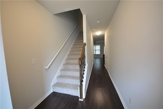 staircase with hardwood / wood-style flooring