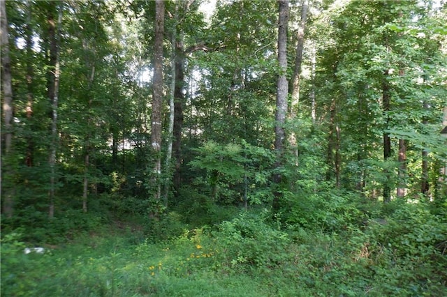 2707 Westridge Ct, Acworth, GA 30102