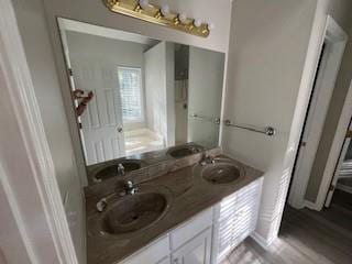 bathroom featuring hardwood / wood-style floors and vanity