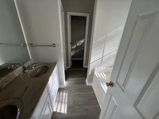 bathroom featuring a bathtub, vanity, and wood-type flooring