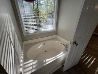 bathroom with a tub