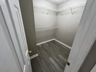 walk in closet with dark hardwood / wood-style floors