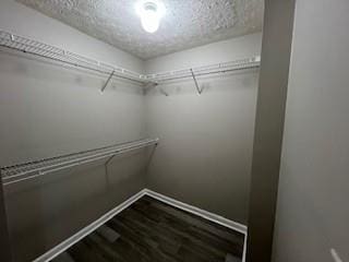 walk in closet featuring wood-type flooring