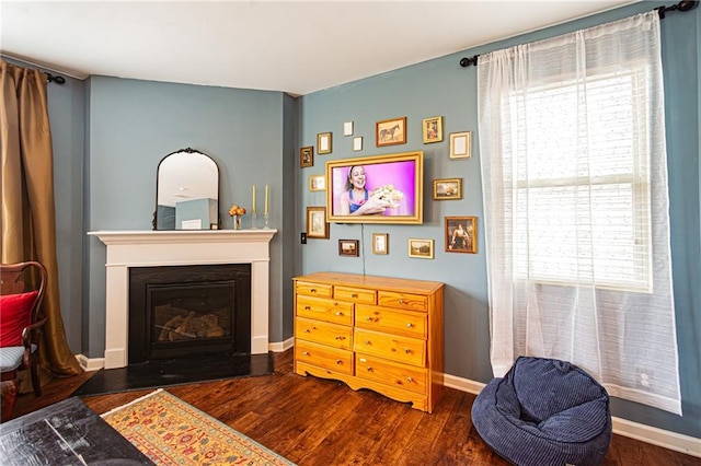 305 Thimbleberry Dr, Dawsonville, GA 30534 - sitting room with wood finished floors and a fireplace with flush hearth