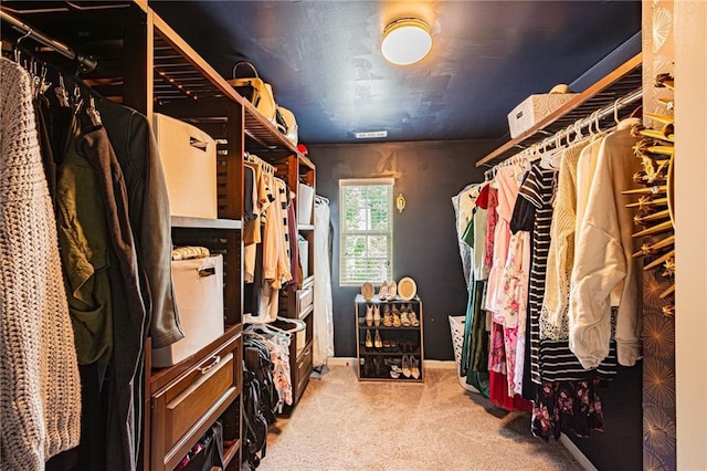 305 Thimbleberry Dr, Dawsonville, GA 30534 - spacious closet with carpet