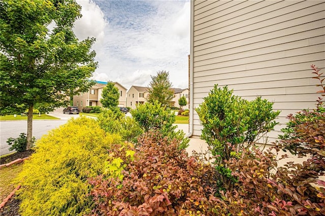 305 Thimbleberry Dr, Dawsonville, GA 30534 - view of yard with a residential view