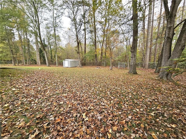 view of yard with a storage shed