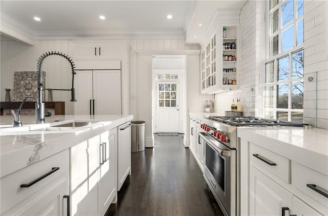 kitchen with dark hardwood / wood-style flooring, tasteful backsplash, stainless steel range, and plenty of natural light