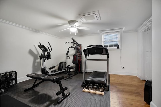 exercise room featuring ceiling fan, crown molding, and hardwood / wood-style floors