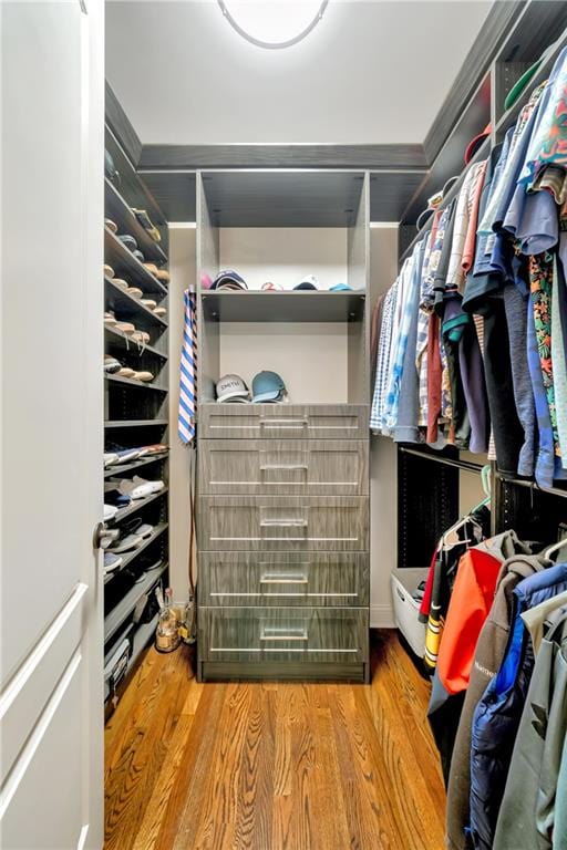 spacious closet with wood finished floors