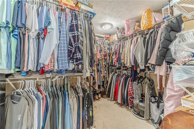 1623 Pratt Rd, Covington, GA 30014 - spacious closet with carpet flooring