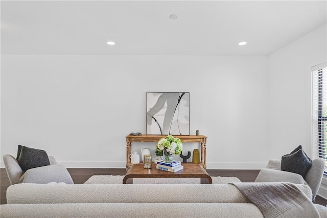 living room featuring dark wood-type flooring