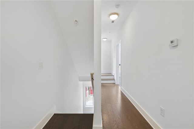 hallway with dark wood-type flooring