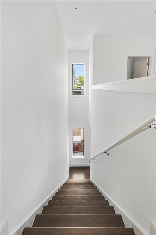 stairway featuring hardwood / wood-style floors