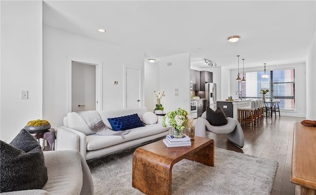 living room featuring hardwood / wood-style flooring and sink