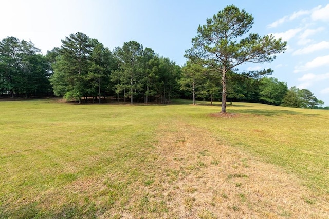 123 Woodhaven Ln, Ball Ground, GA 30107