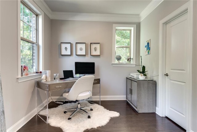 office with ornamental molding and dark hardwood / wood-style floors