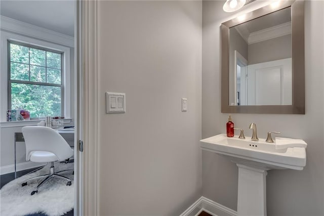 bathroom featuring ornamental molding and sink