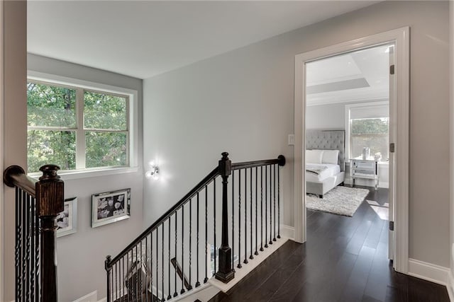 stairway with hardwood / wood-style floors