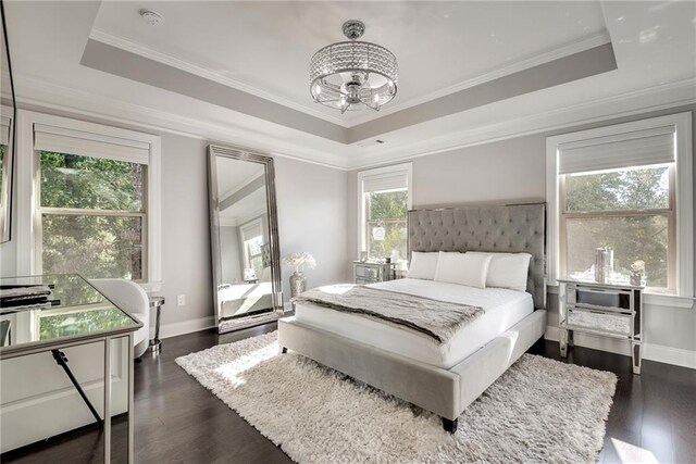 bedroom with multiple windows, dark hardwood / wood-style floors, and a raised ceiling